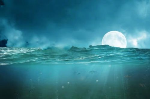 آموزش طراحی صحنه شکار کوسه در فتوشاپ